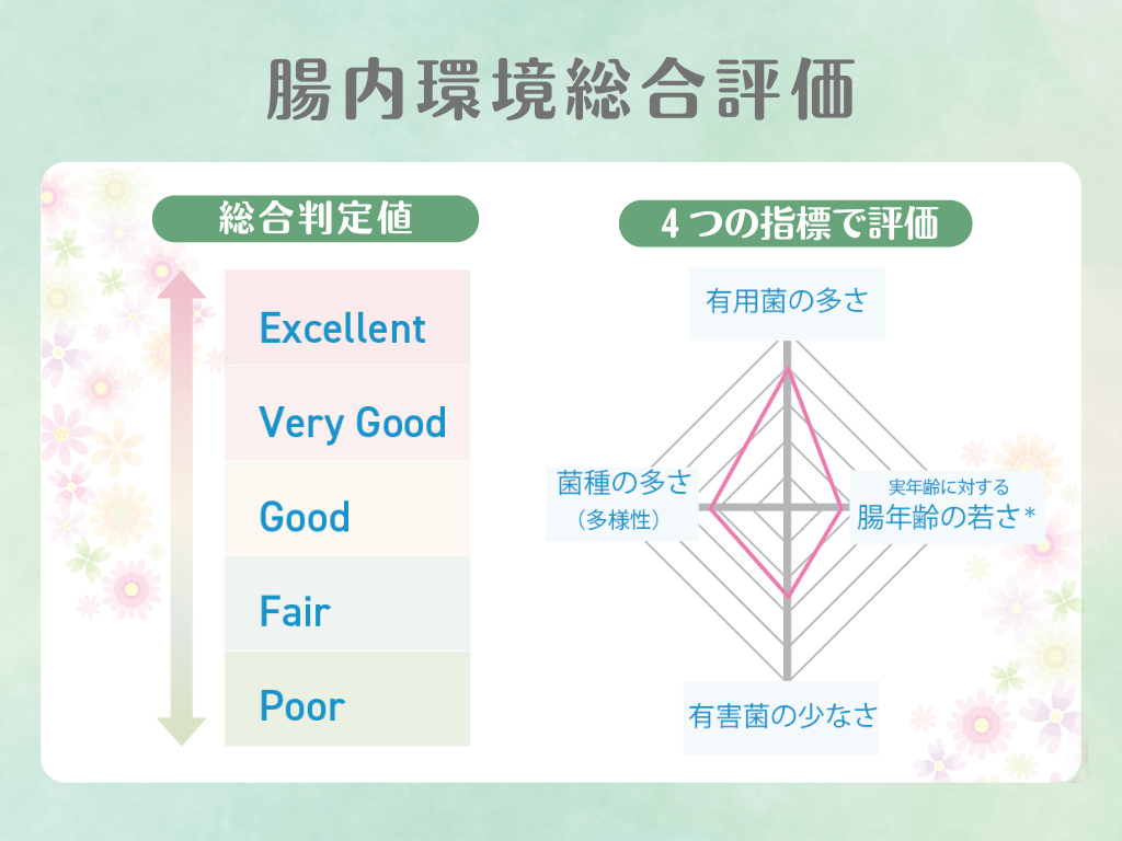 わたしの腸活サポートチェック_C