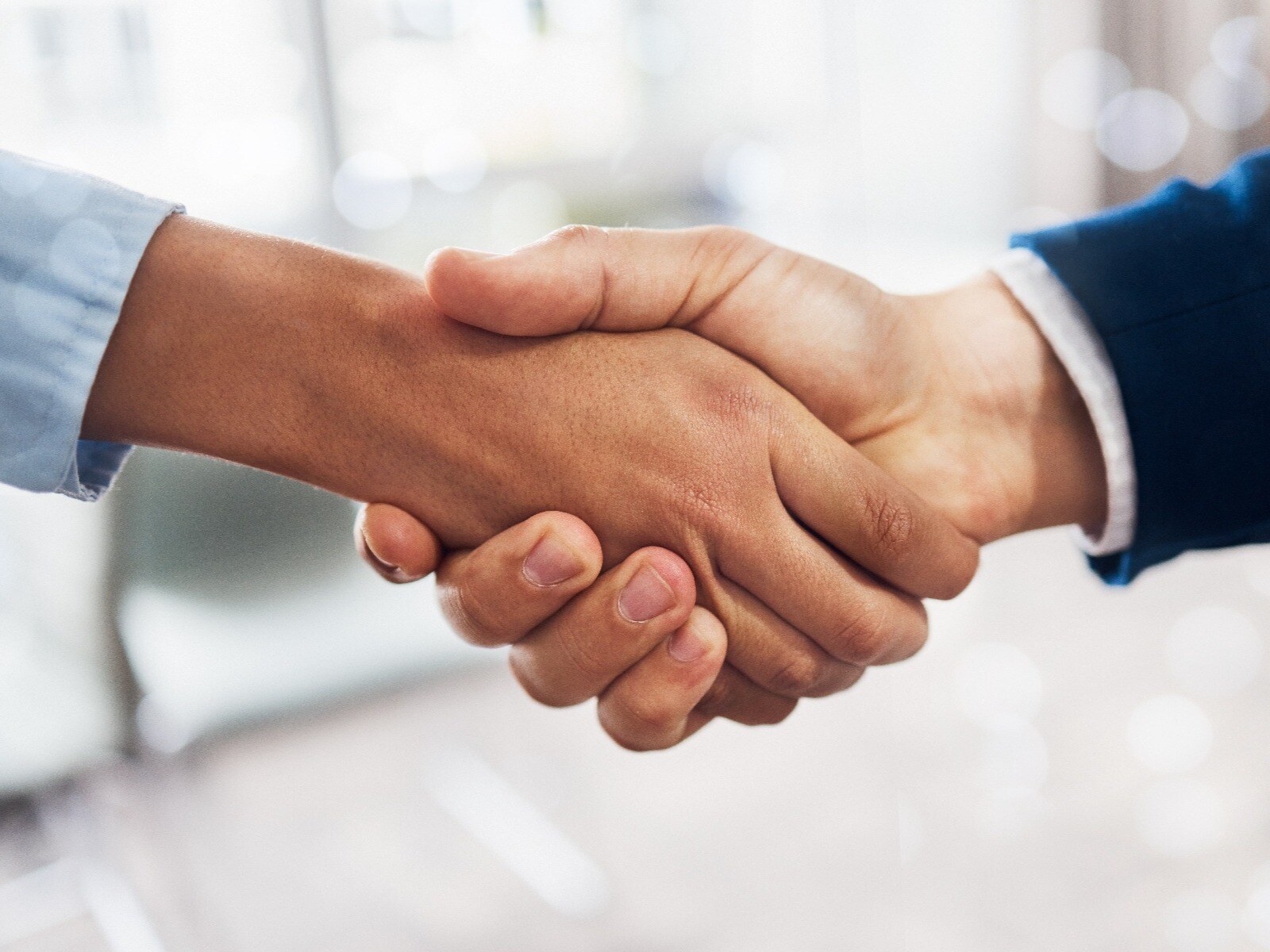 プライムパーソネル_D-1-1