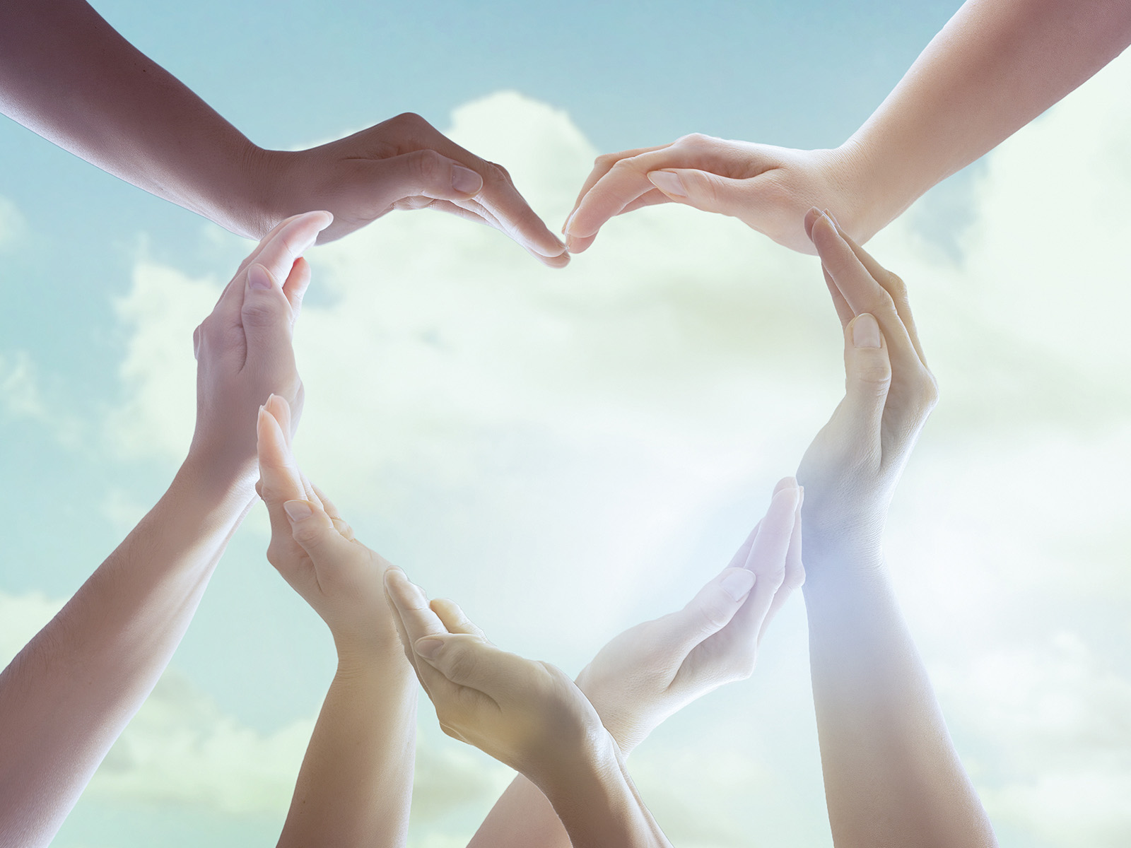 MSAケア_B MSAケア_B